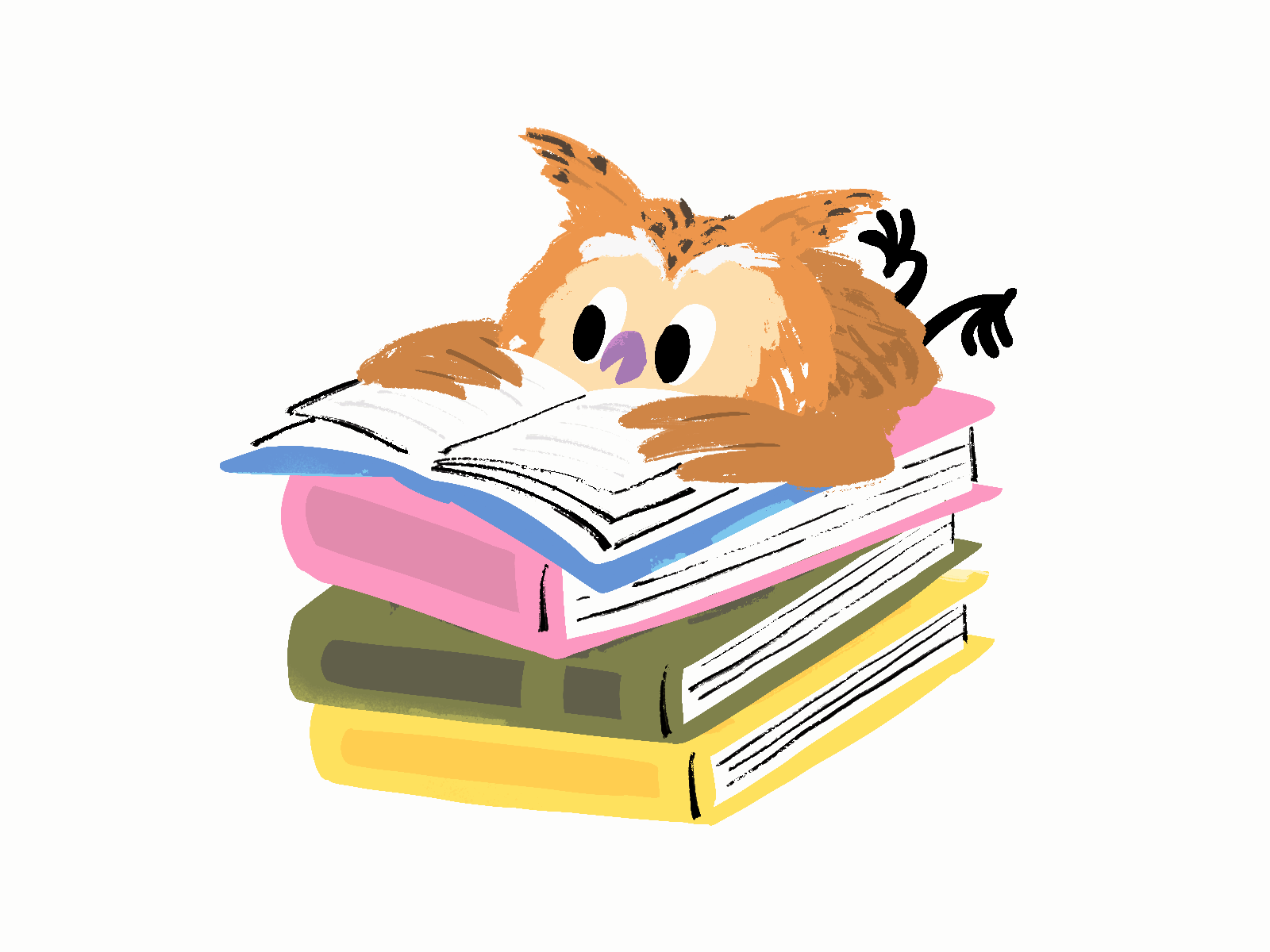 Owl